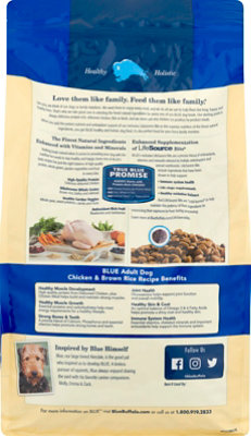 Blue Life Protection Formula Natural Chicken and Brown Rice Adult Dry Dog Food - 6 Lb - Image 5