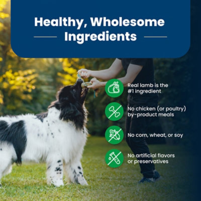 Blue Buffalo Life Protection Formula Adult Dry Dog Food Lamb & Brown Rice Recipe Bag - 15 Lb - Image 5