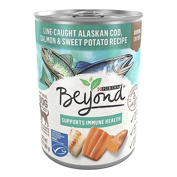Beyond Dog Food Wet Grain-Free Ocean Whitefish Salmon & Sweet Potato - 13 Oz
