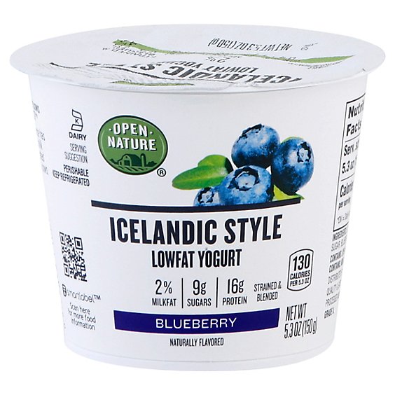Open Nature Icelandic Yogurt Lowfat Blueberry - 5.3 Oz