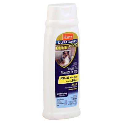 hartz flea shampoo for cats