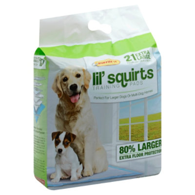 large dog training near me