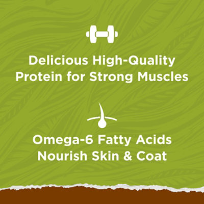 Purina Cat Chow Naturals Real Chicken Dry Cat Food - 3.15 Lbs - Image 2