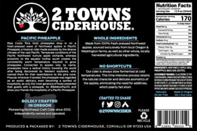 2 Towns Ciderhouse Pacific Pineapple in Cans - 6-12 Fl. Oz. - Image 6