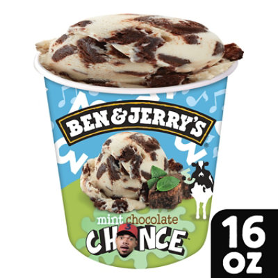 Ben & Jerry's Mint Chocolate Chance Ice Cream - 16 Oz - Image 1