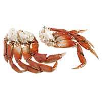 Seafood Counter Crab Dungeness Clusters - 2.00 LB (Subject To Availability) - Image 1