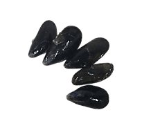 Seafood Counter Frsh Live Mussels Service Case - 2.00 LB