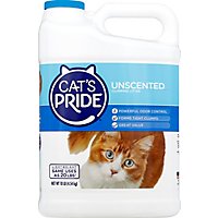 Cats Pride Cat Litter Lightweight Unscented Jug - 10 Lb - Image 1