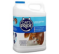 Cats Pride Cat Litter Lightweight Unscented Jug - 10 Lb