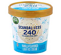 Open Nature Scandal-Less Vanilla Bean Light Ice Cream - 1 Pint