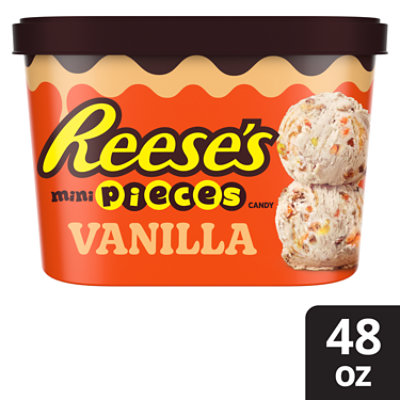 REESE'S Mini Pieces & Peanut Butter Swirl Vanilla Light Ice Cream - 48 Oz - Image 1