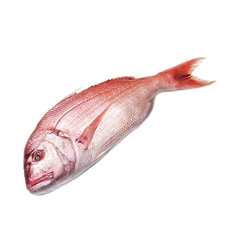 Seafood Service Counter Fish Snapper Fillet Fresh - 1.00 LB
