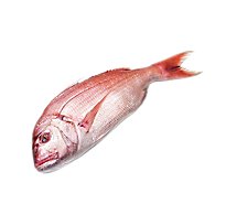 Seafood Service Counter Fish Snapper Fillet Fresh - 1.00 Lb