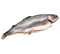 Seafood Service Counter Fish Trout Rainbow Dressed Fresh - 1.25 LB