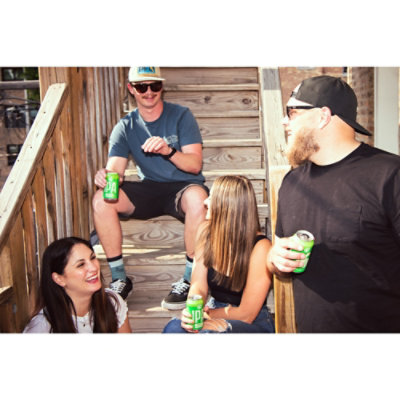 Goose Island IPA Craft Beer India Pale Ale Cans - 15-12 Fl. Oz. - Image 3