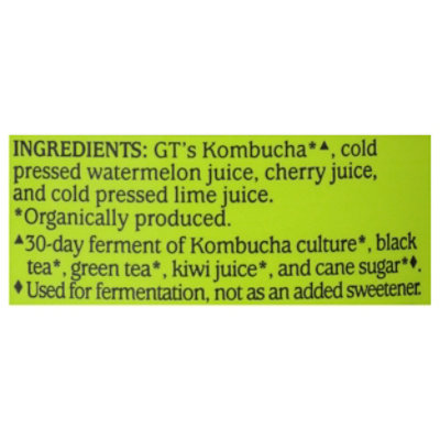 Gts Kombucha Synergy Watermelon Wonder - 16 Fl. Oz. - Image 4