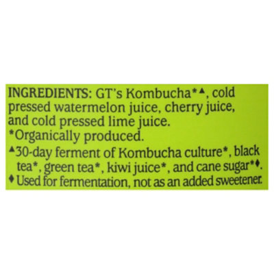 Gts Kombucha Synergy Watermelon Wonder - 16 Fl. Oz. - Image 5