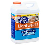 Cats Pride Cat Litter Lightweight Multi Clumping Scented Jug - 10 Lb