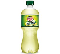 Canada Dry Ginger Ale Lemonade - 20 Fl. Oz.