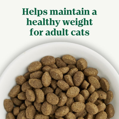 NUTRO Chicken & Brown Rice Dry Cat Food - 3 Lbs - Image 3