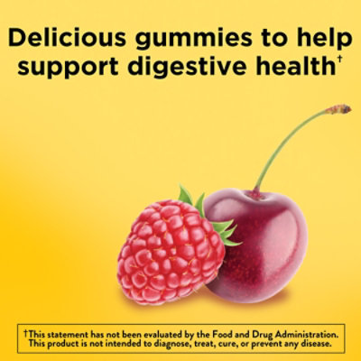 Nature Made Dig Probiotics Us Gum - 42 Count - Image 5