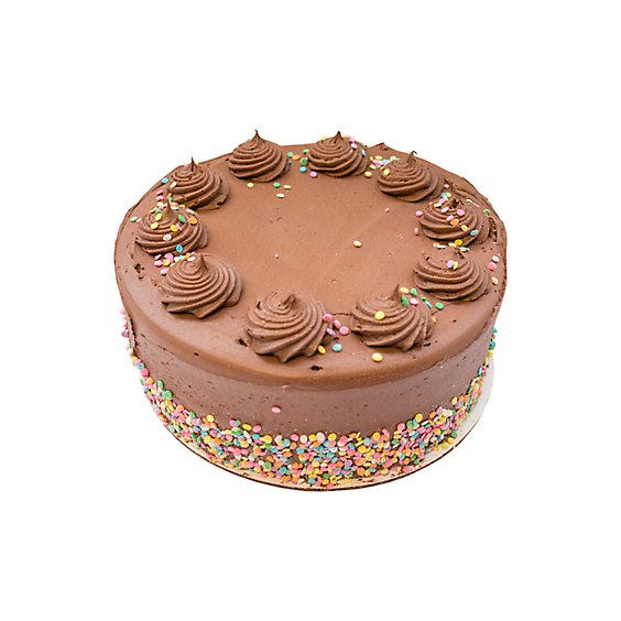 Bakery Cake Chocolate Celebration 2 Layer