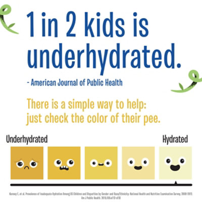 Creative Roots Peach Mango Naturally Flavored Coconut Water Beverage - 8.5 Fl. Oz. - Image 2