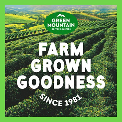 Green Mountain Coffee Roasters French Roast Dark Roast Ground Coffee Bagged - 12 Oz - Image 2