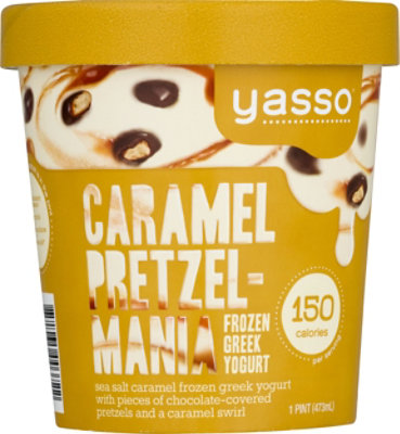 Yasso Frozen Greek Yogurt Caramel Pretzel Mania - 16 Oz - Image 1
