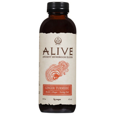 Gts Alive Guayusa Turmeric Sparkling Cider - 16 Fl. Oz. - Image 3