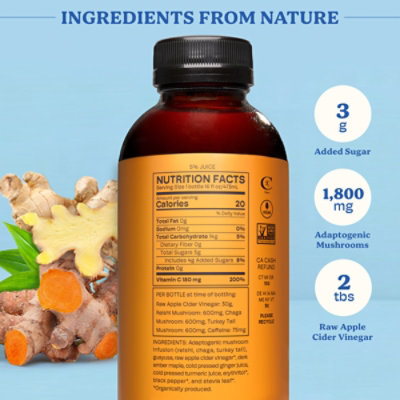 Alive Mood + Mind Grounded Ginger Tumeric - 16 Fl. Oz. - Image 2