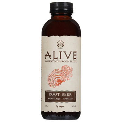 GT's Alive Root Beer Ancient Mushroom Elixir - 16 Fl. Oz. - Image 3