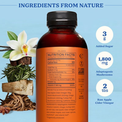 Alive Mood + Mind Reset Root Beer - 16 Fl. Oz. - Image 2