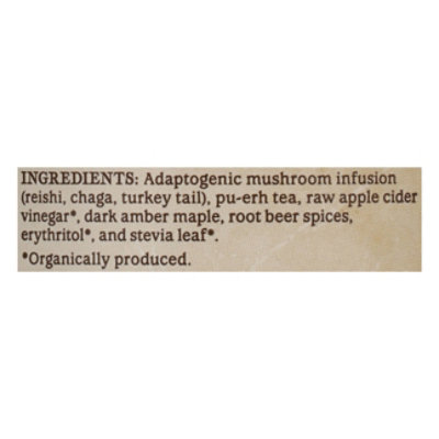 GT's Alive Root Beer Ancient Mushroom Elixir - 16 Fl. Oz. - Image 4