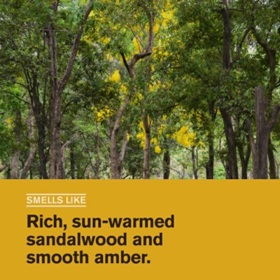 Every Man Jack Sandalwood Hydrating Mens Body Wash - 16.9 Oz - Image 1