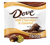 Dove Promises Individually Wrapped Milk Chocolate Caramel Candy Bag - 7.61 Oz