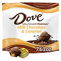 Dove Promises Individually Wrapped Milk Chocolate Caramel Candy Bag - 7.61 Oz - Image 1