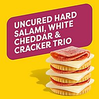 Oscar Mayer Natural Meat & Cheese Snack Plate with Uncured Salami & White Cheddar Tray - 3.3 Oz - Image 2