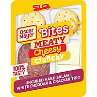 Oscar Mayer Natural Meat & Cheese Snack Plate with Uncured Salami & White Cheddar Tray - 3.3 Oz - Image 1