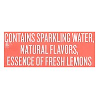 Polar Seltzer Lemonade Watermelon - 8-12 Fl. Oz. - Image 5