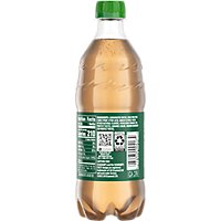 Seagrams Soda Pop Ginger Ale - 20 Fl. Oz. - Image 4