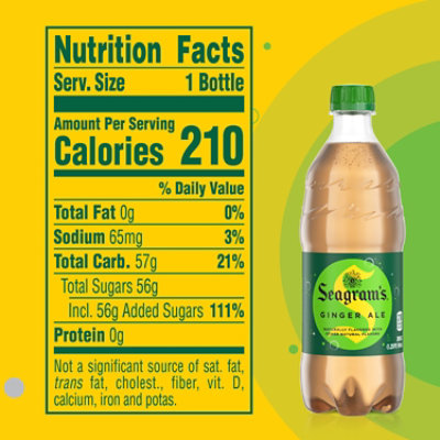 Seagrams Soda Pop Ginger Ale - 20 Fl. Oz. - Image 4