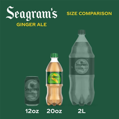 Seagrams Soda Pop Ginger Ale - 20 Fl. Oz. - Image 2