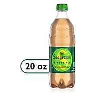 Seagrams Soda Pop Ginger Ale - 20 Fl. Oz.