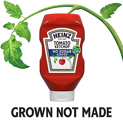 Heinz Tomato Ketchup with No Sugar Added Bottle - 29.5 Oz - Image 4