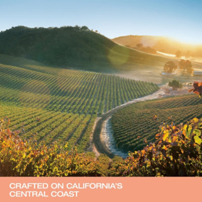 Justin Central Coast California Rose Wine - 750 Ml - Image 4