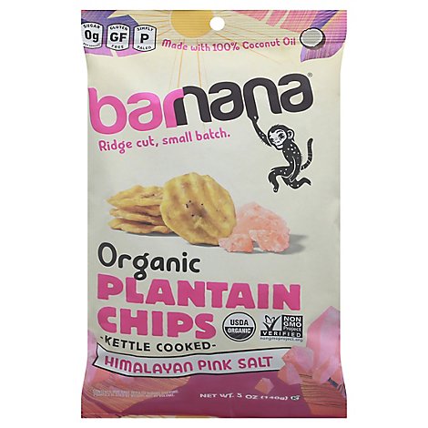 Barnana Chips Plantain Himlyn Slt - 5 Oz