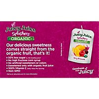 Juicy Juice Splashers Organic Juice 50% Less Sugar Berry Lemonade Box - 8-6 Fl. Oz. - Image 4