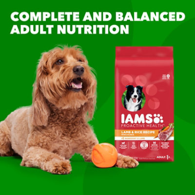 Iams Proactive Health Minichunks Lamb & Rice Recipe Adult Dry Dog Food - 15 Lbs - Image 5