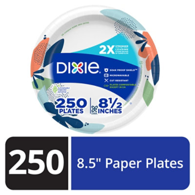 Dixie Everyday Paper Plates Printed 8 1/2 Inch - 250 Count - Image 1